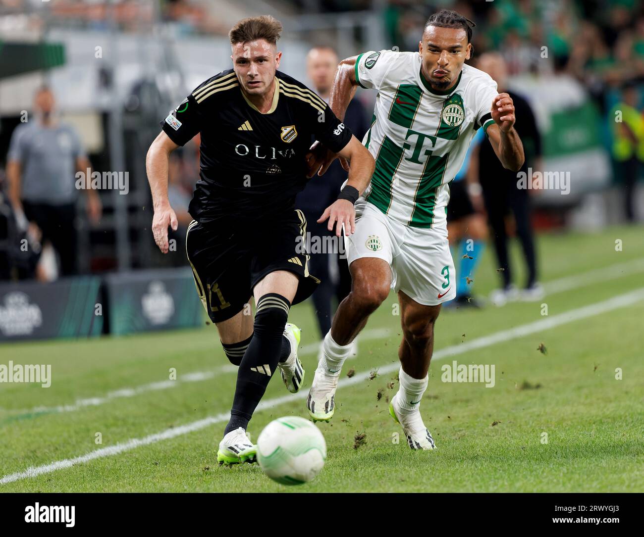 Budapest, Hungary. 21st September, 2023. Dejan Stankovic, head coach of Ferencvarosi  TC reacts during the UEFA Europa Conference League 2023/24 Group F match  between Ferencvarosi TC and FK Cukaricki at Groupama Arena