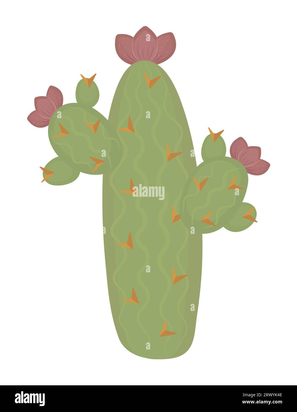 High long green cactus with flowers, color vector illustration Stock Vector