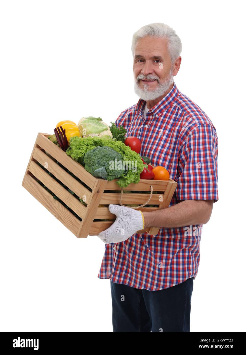 Harvesting season. Farmer holding wooden crate with vegetables on white ...