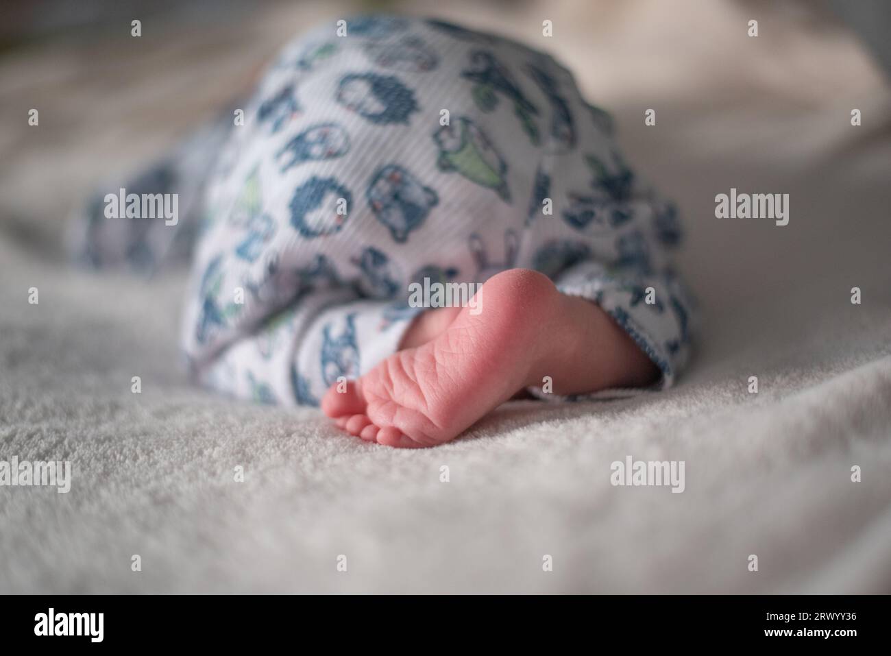Newborn baby sleeping on his stomach with his booty up Stock Photo Alamy