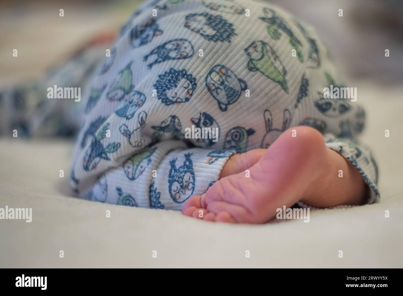 Newborn baby sleeping on his stomach with his booty up Stock Photo Alamy