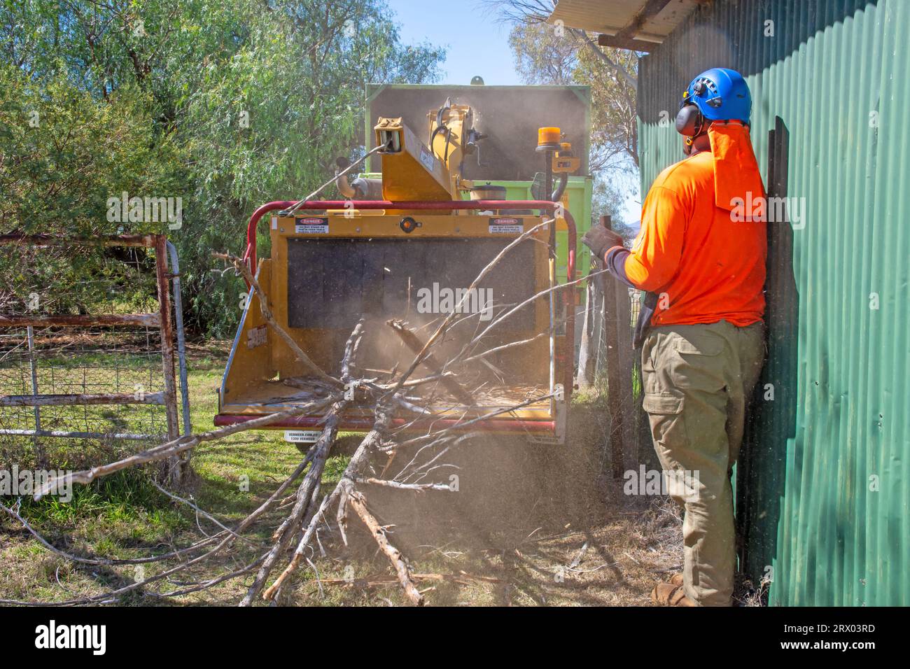 A man feeding tree brnches into a chipper or mulching machine at an Australian farm yard. Stock Photo