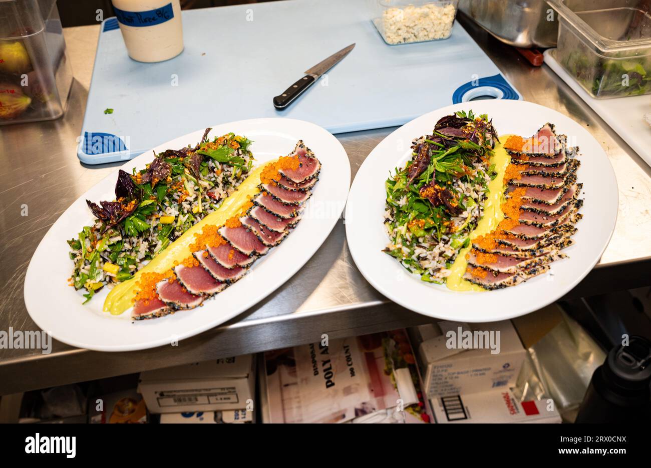Photo of two white plates with sliced furikake-crusted albacore tuna, a sauce and green salad. Stock Photo
