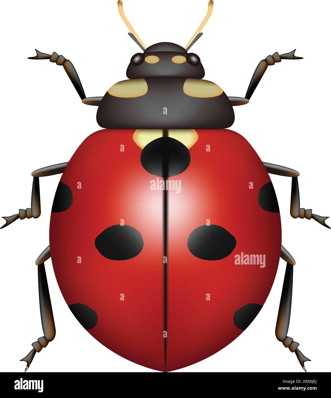 Layered vector illustration of Ladybug Stock Vector Image & Art - Alamy