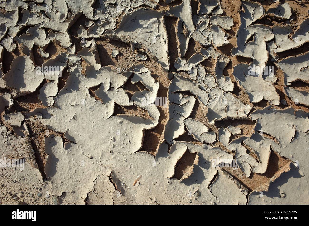 Cracked dried mud texture Stock Photo