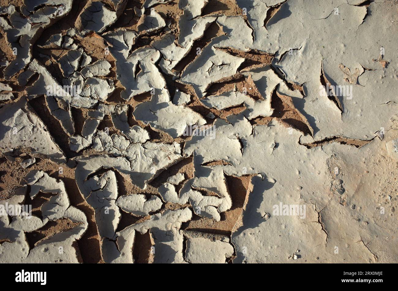 Cracked dried mud texture Stock Photo