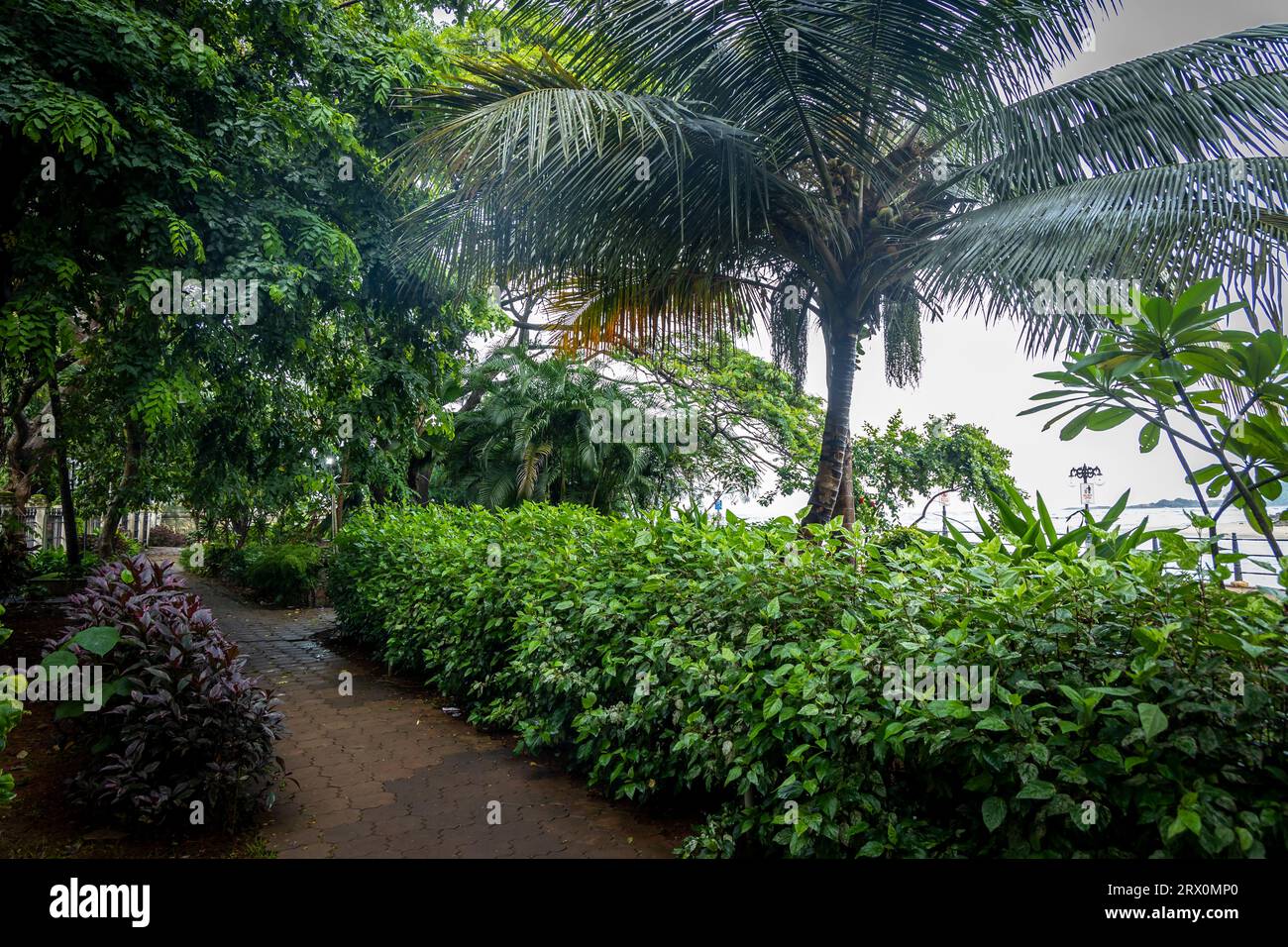 Parks, gardens and walk way from Kerala Stock Photo Alamy
