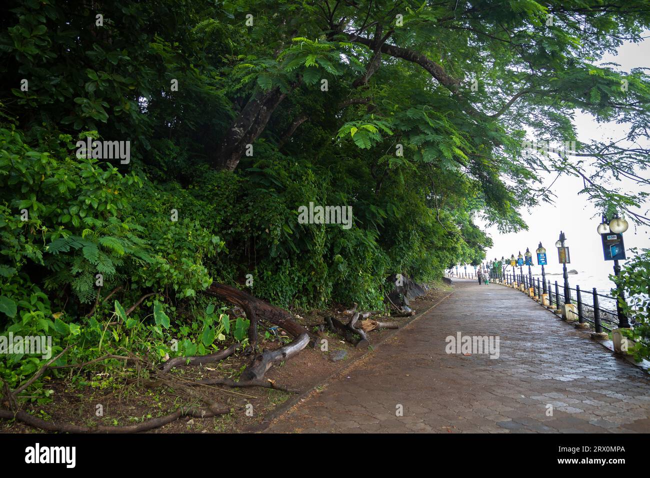 Parks, gardens and walk way from Kerala Stock Photo Alamy
