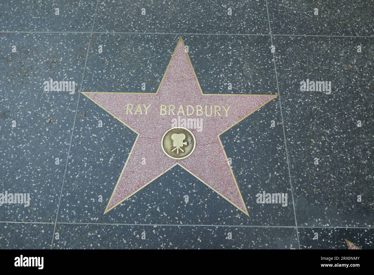 Hollywood, California, USA 21st September 2023 Author Ray Bradbury Hollywood Walk of Fame Star on September 21, 2023 on Hollywood Blvd in Hollywood, California, USA. Photo by Barry King/Alamy Stock Photo Stock Photo