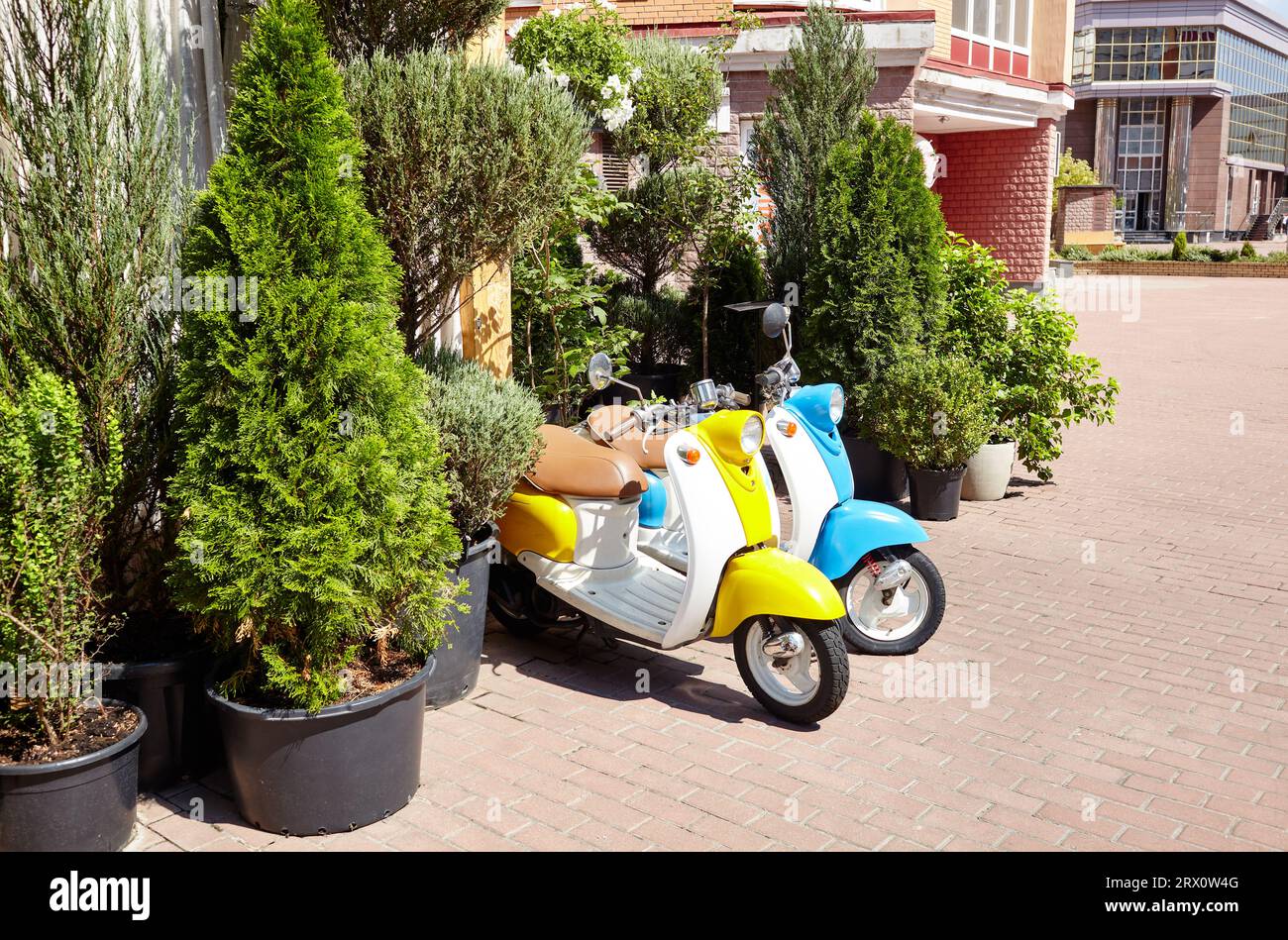 Small city cafe with lush vegetation in Kyiv, Ukraine. Two retro mopeds for delivery service in front Stock Photo