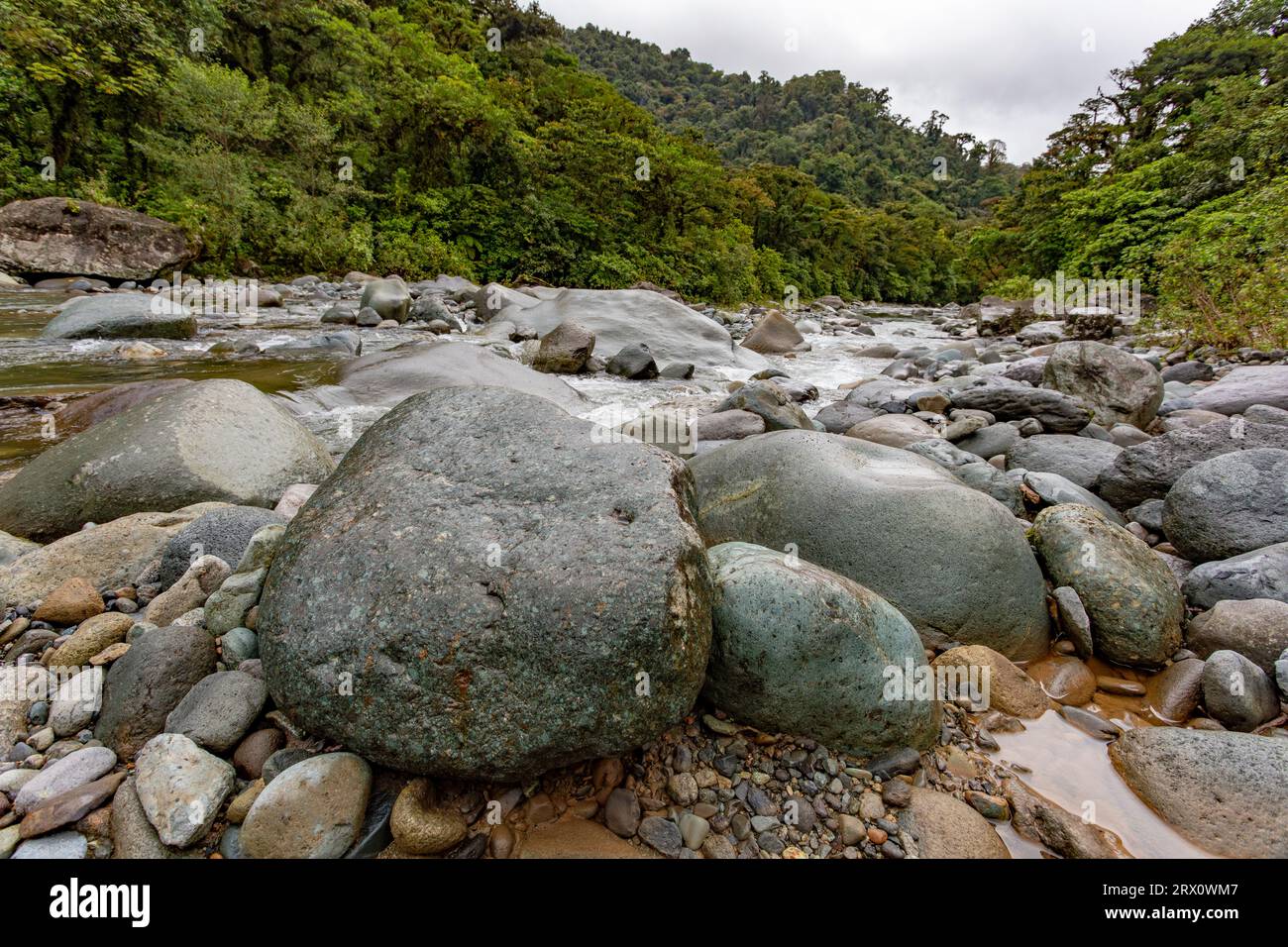 The Orosi River, also called Rio Grande de Orosi, is a river in Costa Rica near the Cordillera de Talamanca. Tapanti - Cerro de la Muerte Massif Natio Stock Photo