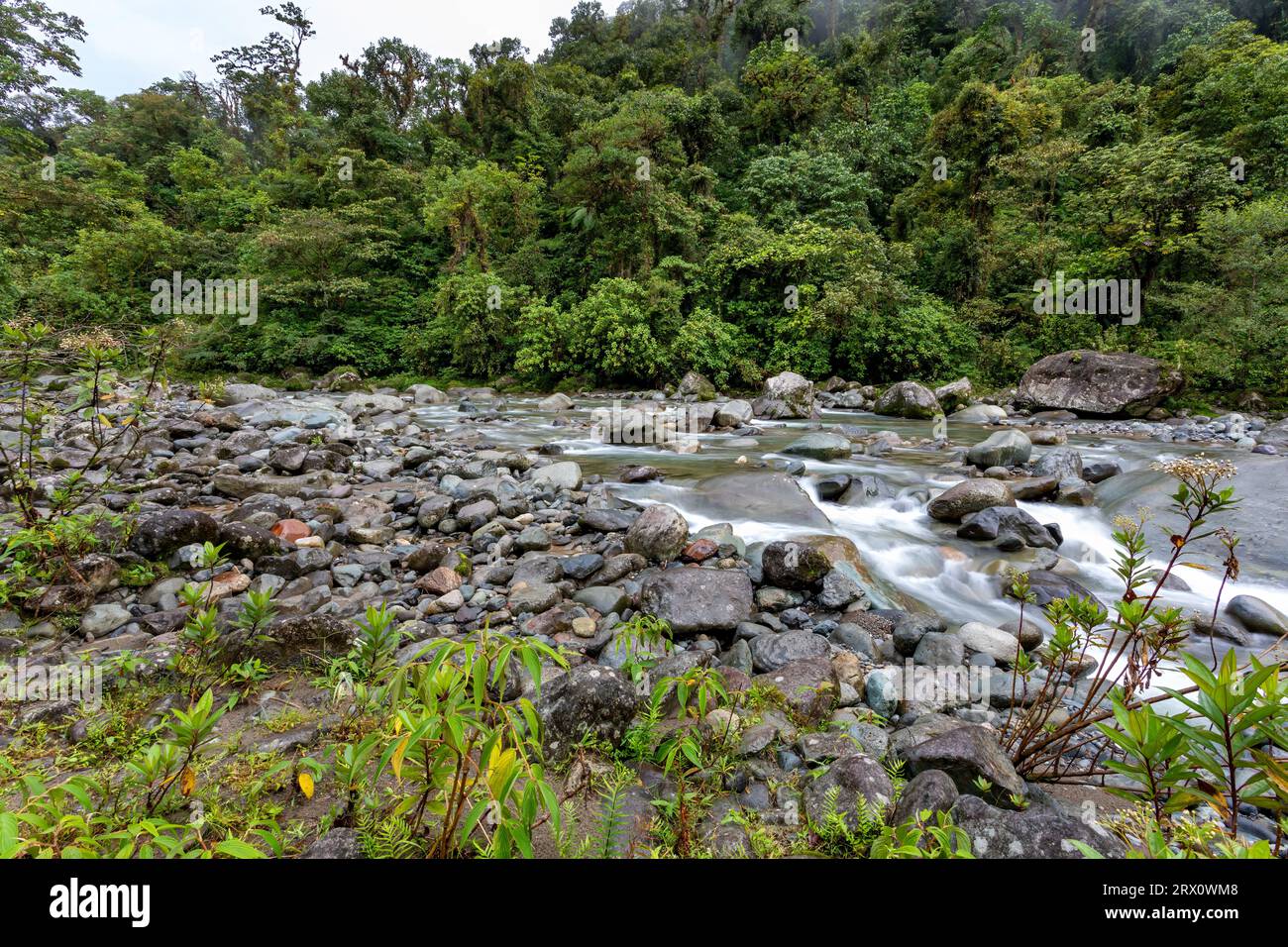 The Orosi River, also called Rio Grande de Orosi, is a river in Costa