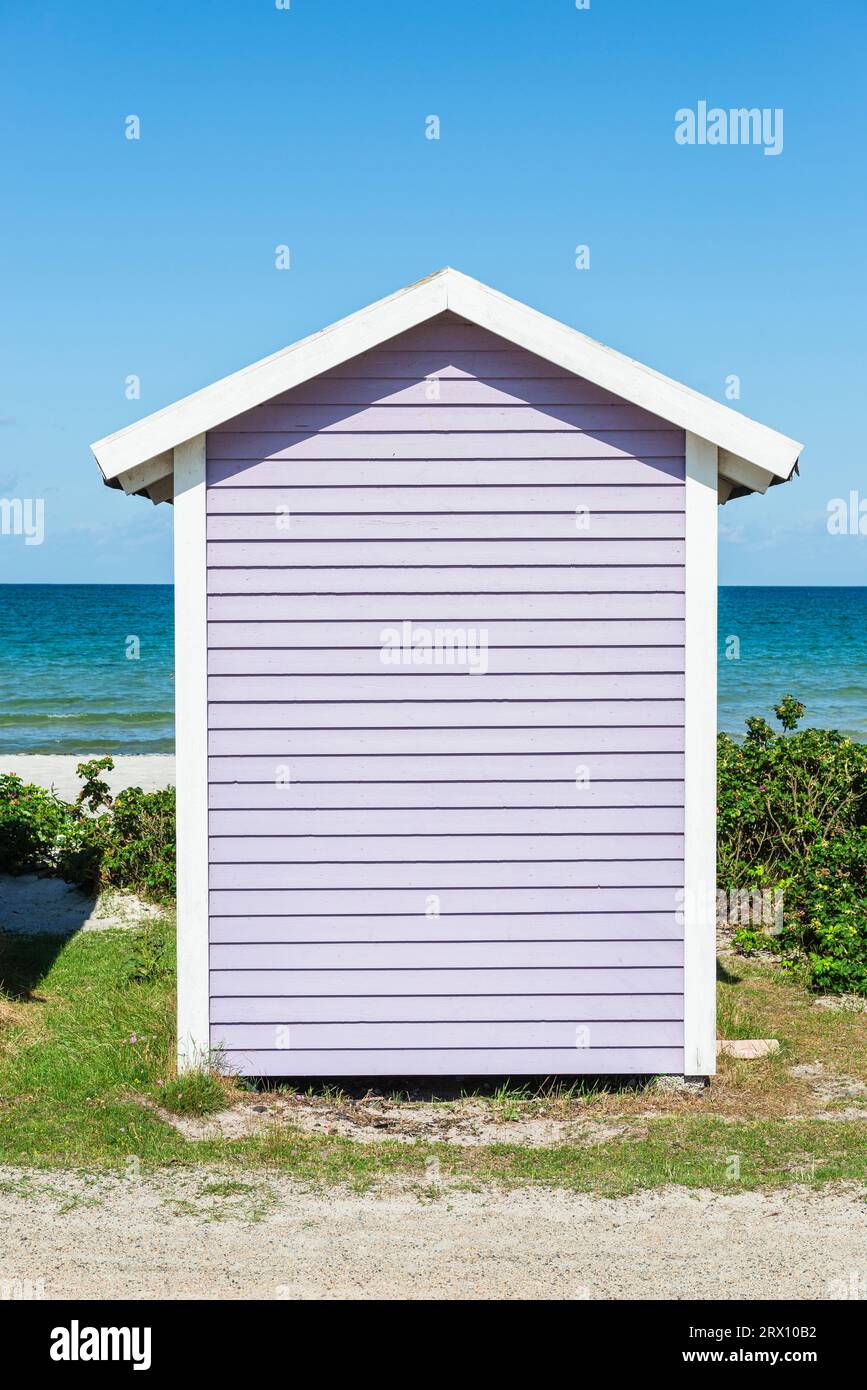 Frontal view of the back of a purple wooden bathing hut on the beach of Skanör med Falsterbo at the Öresund in the morning sun, Skåne, Sweden Stock Photo