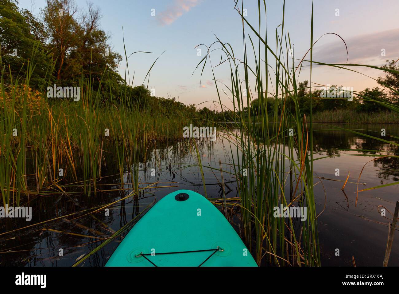 Water Reeds Rafting Reeds by canoes hi-res stock photography and images - Alamy