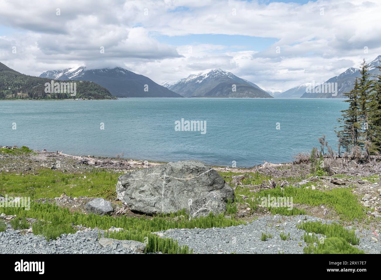 Chilkat Inlet from the Battery Point Trail in the Chilkat State Park ...