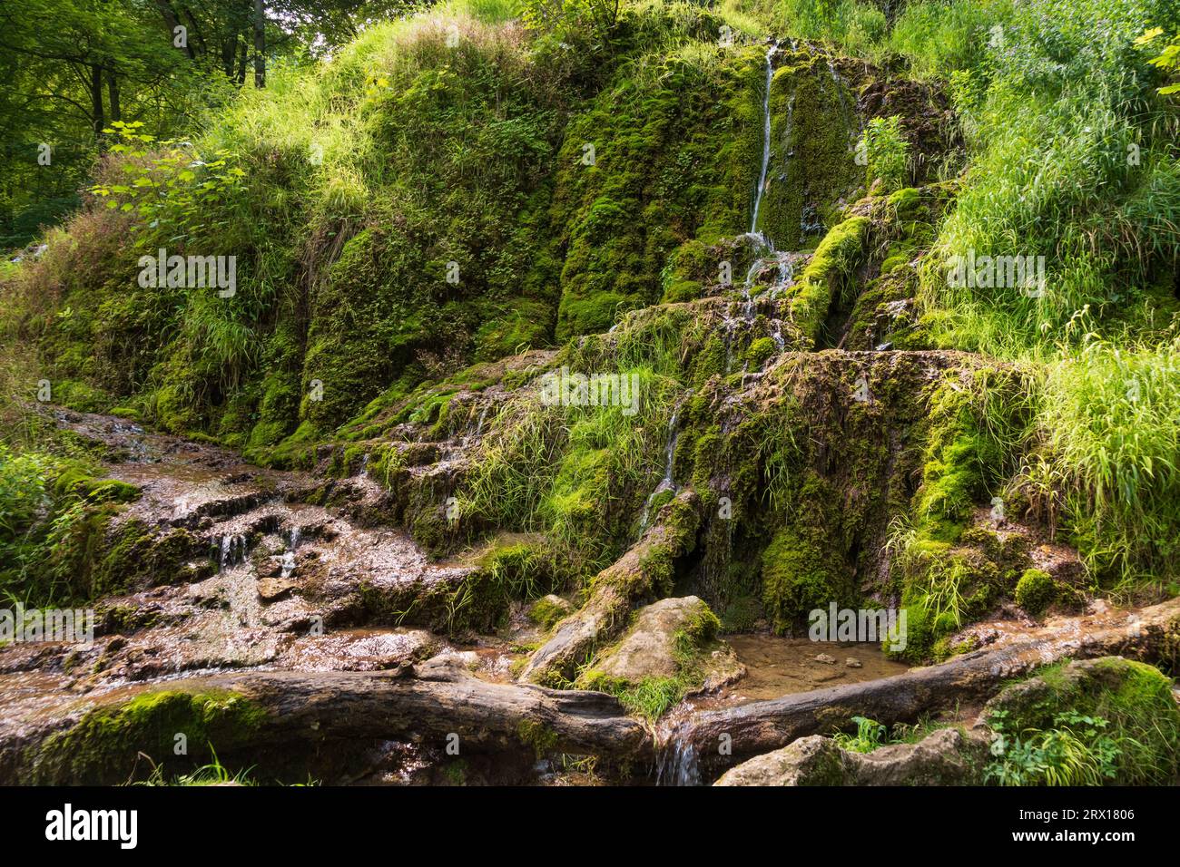 Urach Waterfall in Baden-Württemberg, Germany During Summer Stock Photo