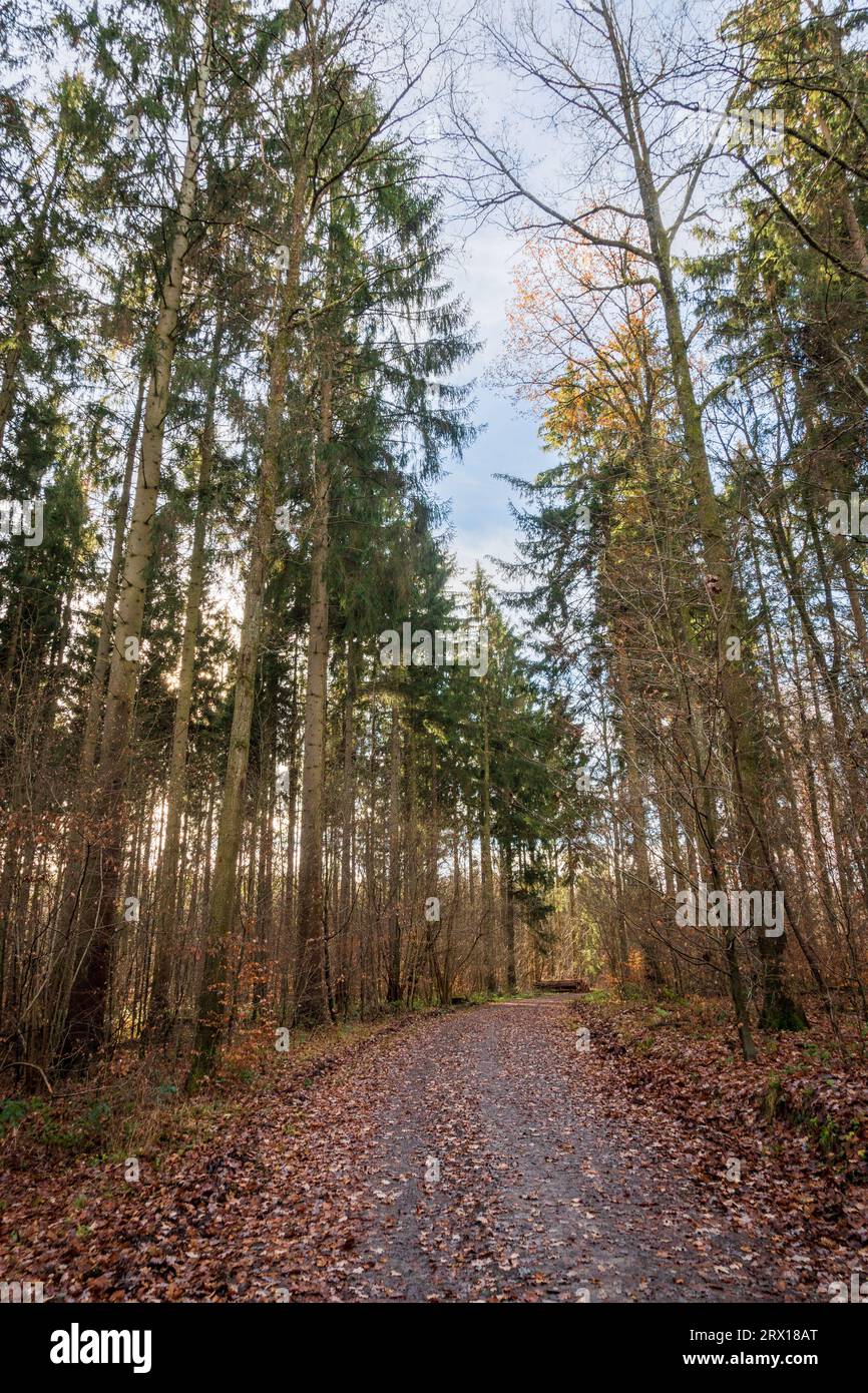 Stuttgart hiking trails hi-res stock photography and images - Alamy