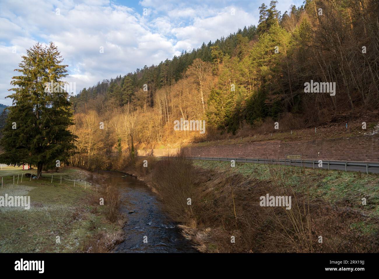 The Waldeck Castle, the Ruins of Waldeck in BadenWürttemberg, Germany