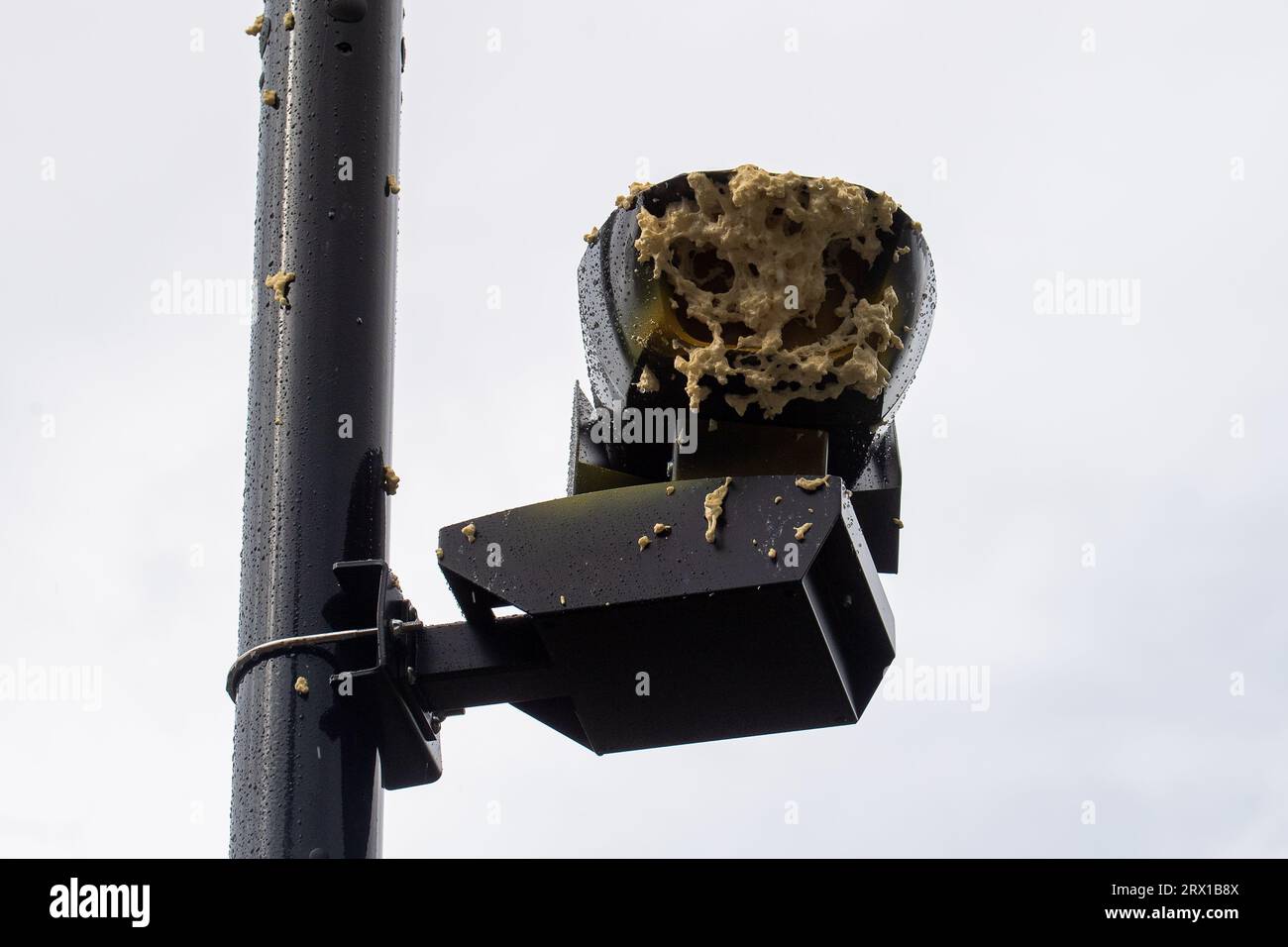 Ickenham, UK. 21st September, 2023. Expanding foam sprayed across the