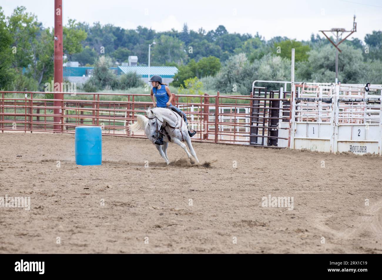 White horse running race around barrel at rodeo Stock Photo