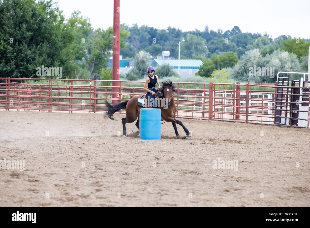 Teenage girl riding her horse around a barrel at rodeo Stock Photo