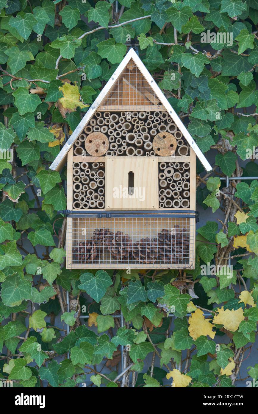 Insect house  bug house. insect hotel  encourage pollinators Stock Photo