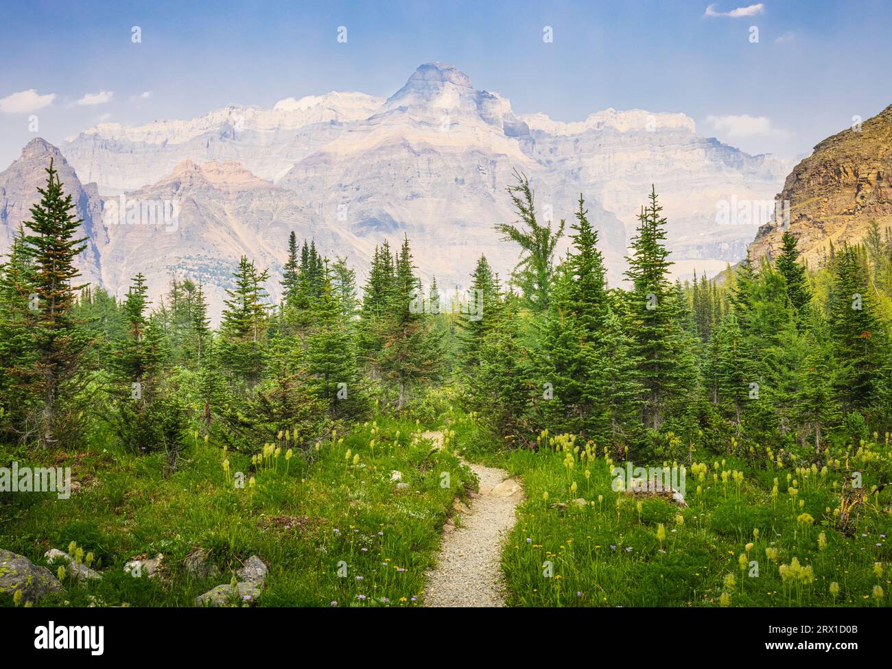 Yoho national park lake o’hara hi-res stock photography and images - Alamy