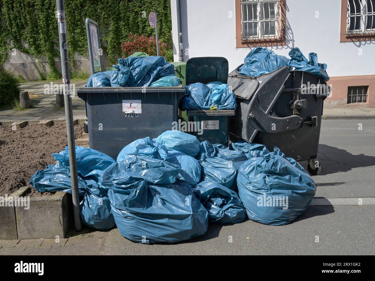 Müll, Container, Mainz, Rheinland-Pfalz, Deutschland Stock Photo