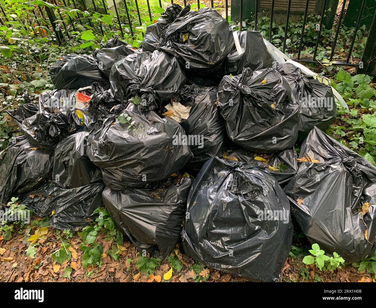 Risk to widllife hires stock photography and images Alamy