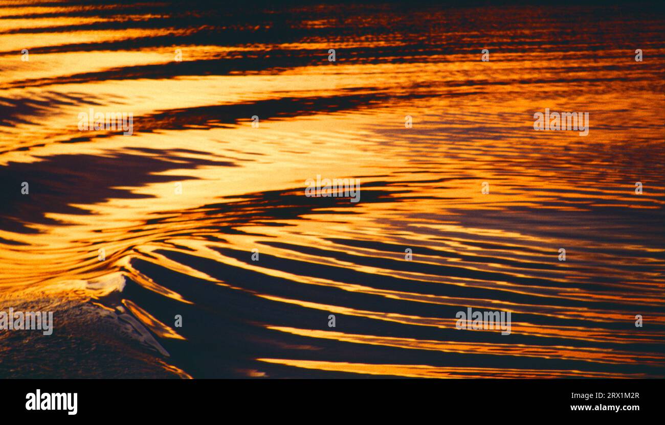 Sonnenuntergang auf der Wolga, Heckwellen eines Schiffes im Gegenlicht  * waves of a ship on volga river in orange sunset Stock Photo