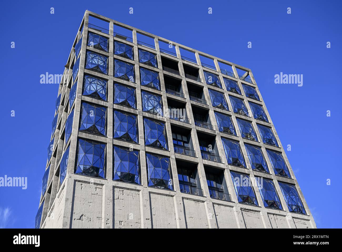 Zeitz Museum of Contemporary Art Africa (MOCAA) at the Victoria and