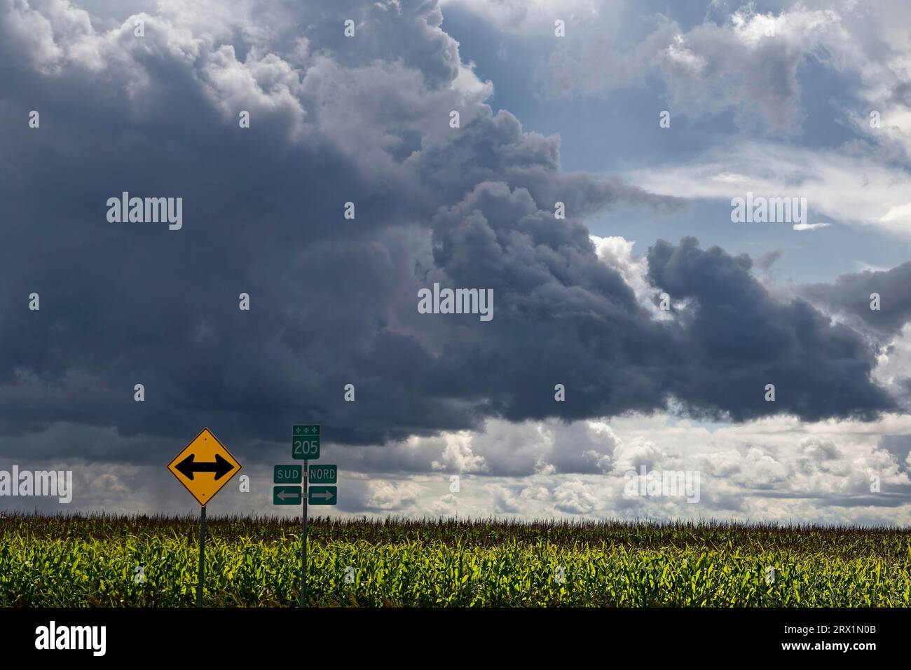 Agriculture, agricultural crop, storm clouds, farmland, Province of Quebec, Canada Stock Photo