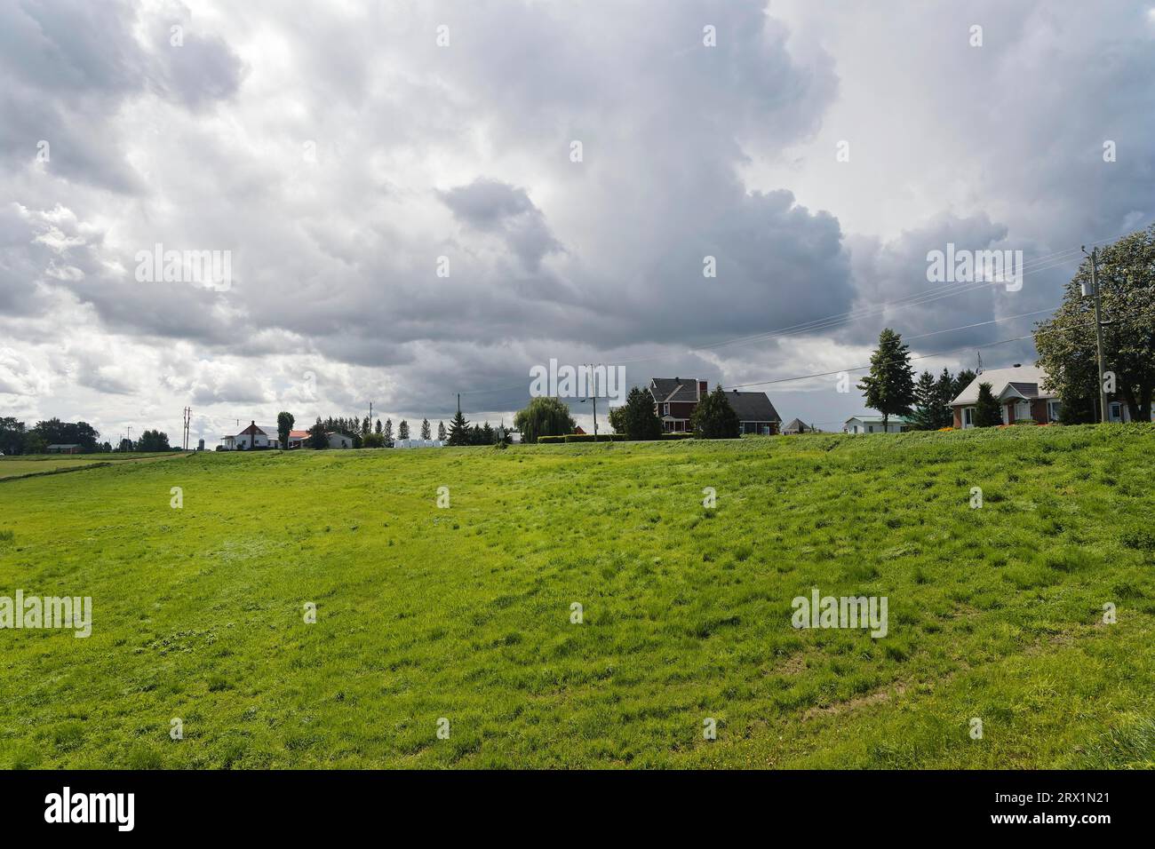 Agriculture, agricultural crop, farmland, Province of Quebec, Canada Stock Photo