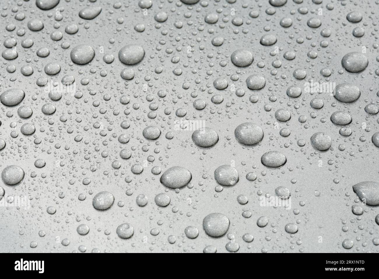 Water beads on a metallic grey car Stock Photo Alamy