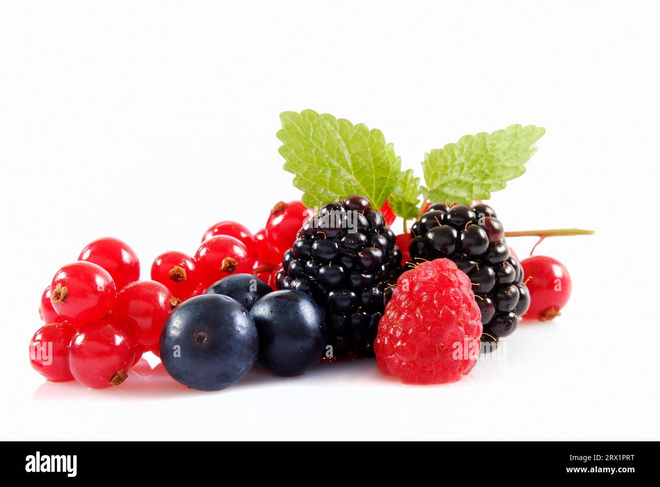 Berries, Beerenobst Stock Photo