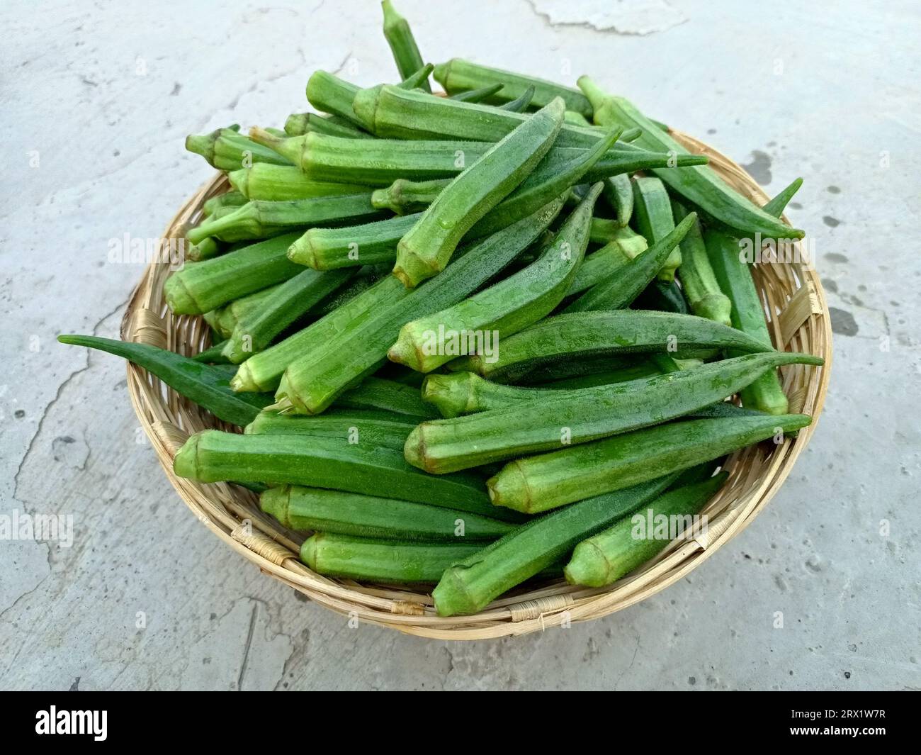 Bhindi Cut Out Stock Images & Pictures - Alamy