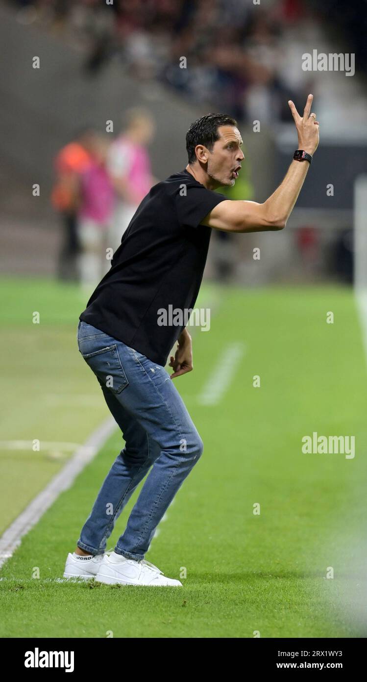Frankfurt, Deutschland. 21st Sep, 2023. Frankfurt Trainer. Dino Toppmöller fotografiert beim Frankfurt, Deutschland. 21st Sep, 2023. Frankfurt Trainer. Dino Toppmöller fotografiert beim