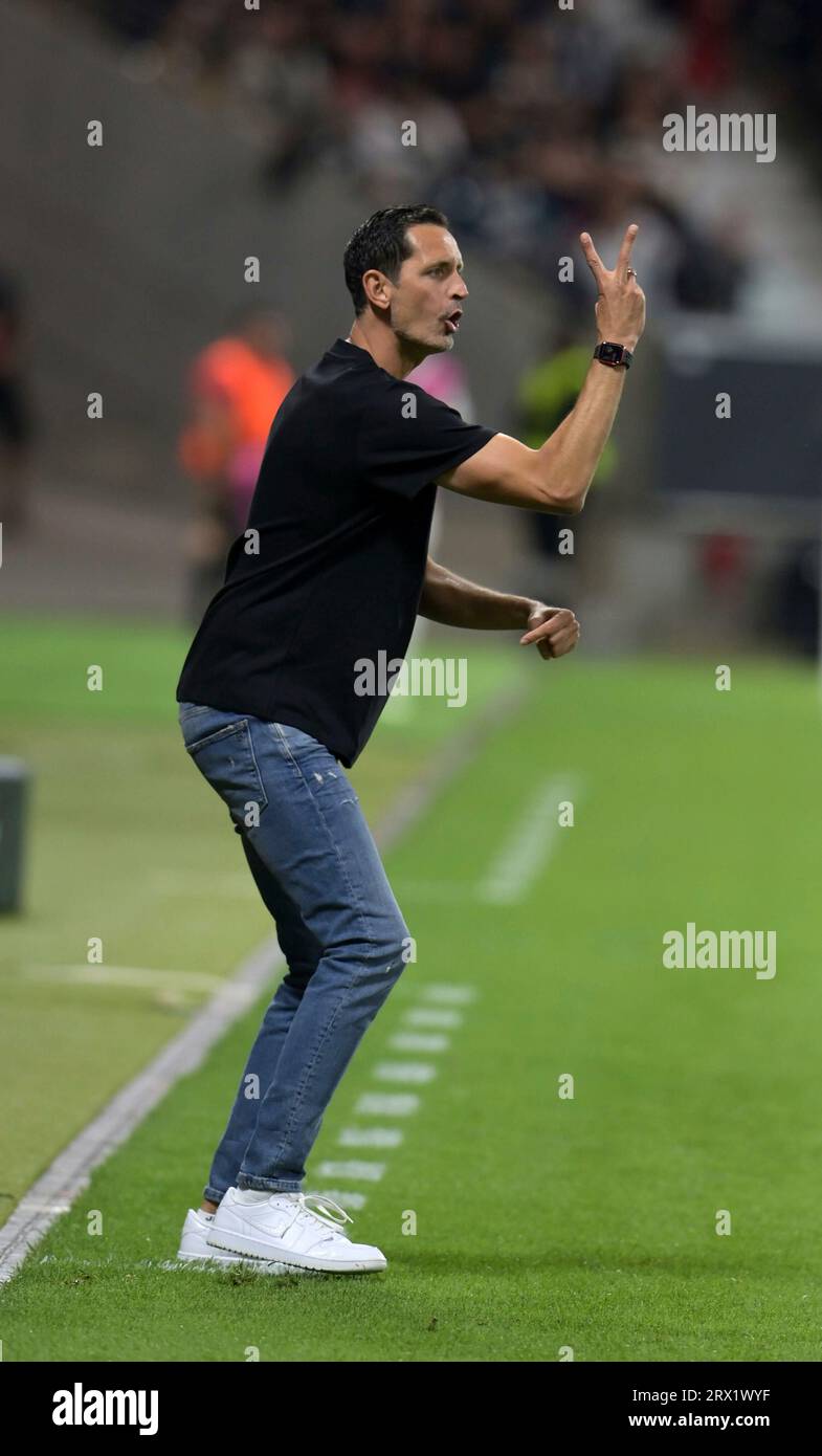 Frankfurt, Deutschland. 21st Sep, 2023. Frankfurt Trainer. Dino Toppmöller fotografiert beim Frankfurt, Deutschland. 21st Sep, 2023. Frankfurt Trainer. Dino Toppmöller fotografiert beim