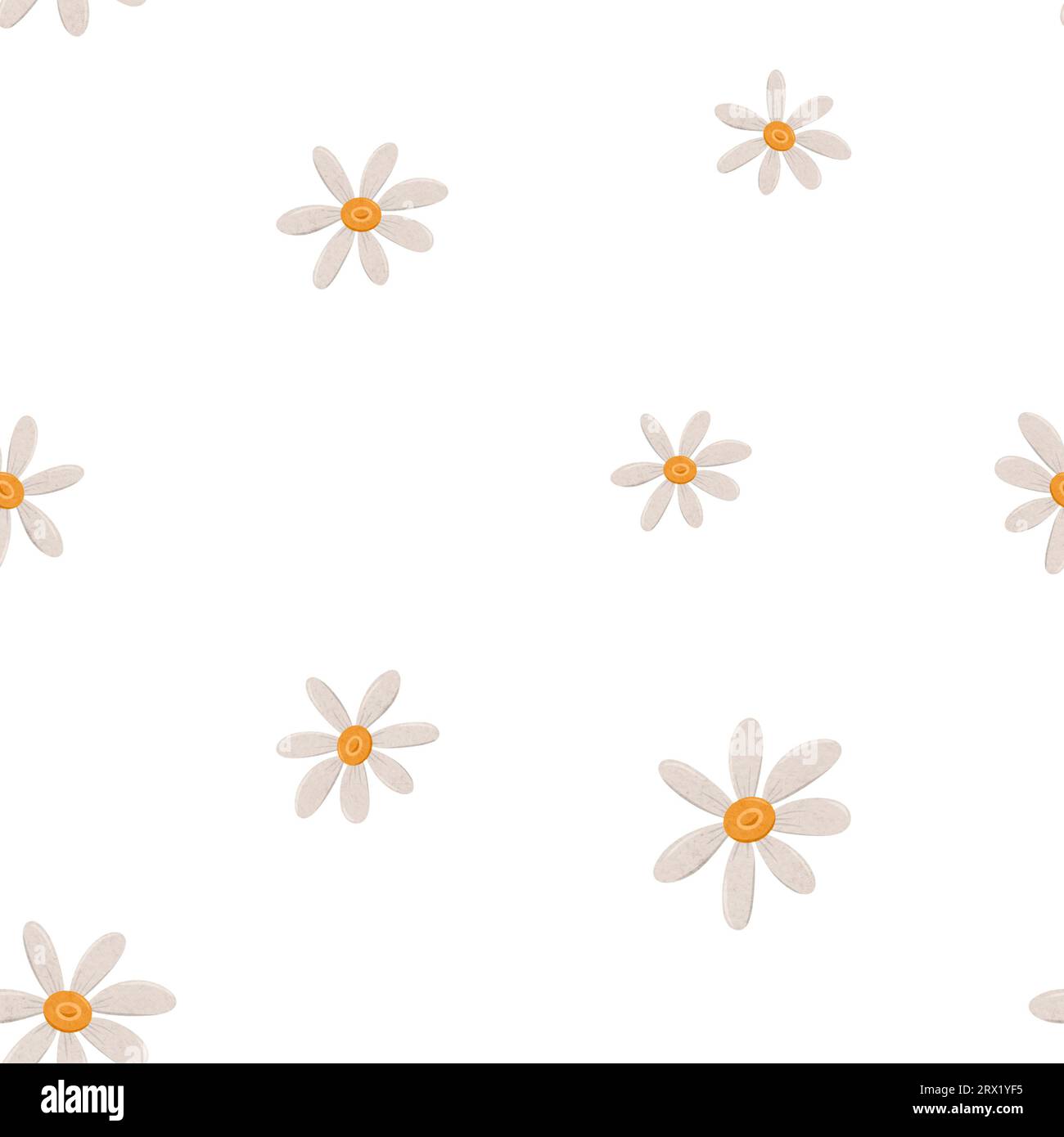 White Flower Paper Clip 10 X 10 Cm Background, High Resolution, Flower,  Luck Background Image And Wallpaper for Free Download