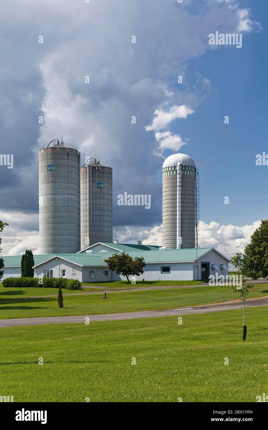 Agriculture, grain silo, farmland, Province of Quebec, Canada Stock Photo
