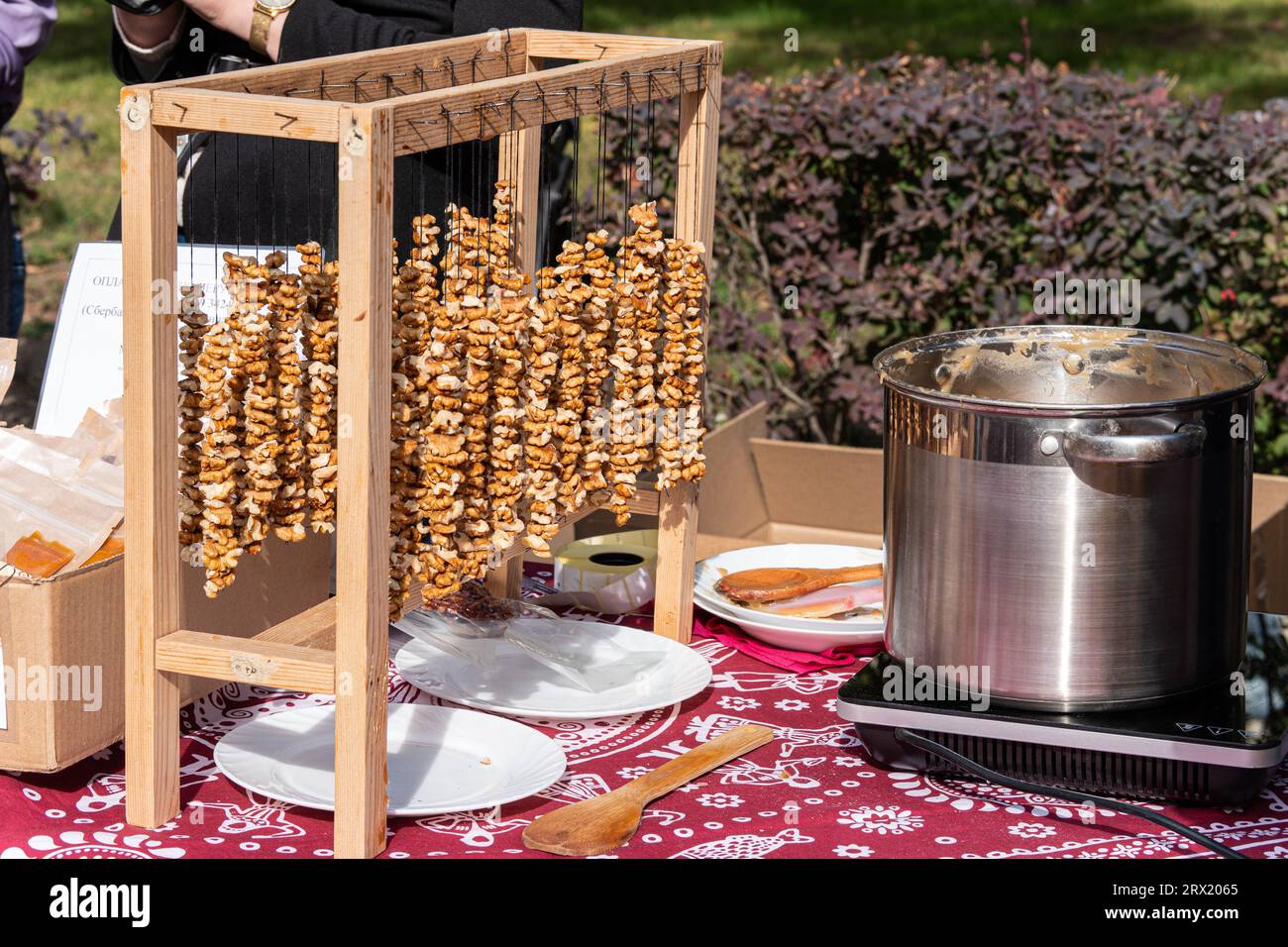 process of preparing of the traditional Armenian sweet Sujuk (Churchkhel). It's a peeled walnut