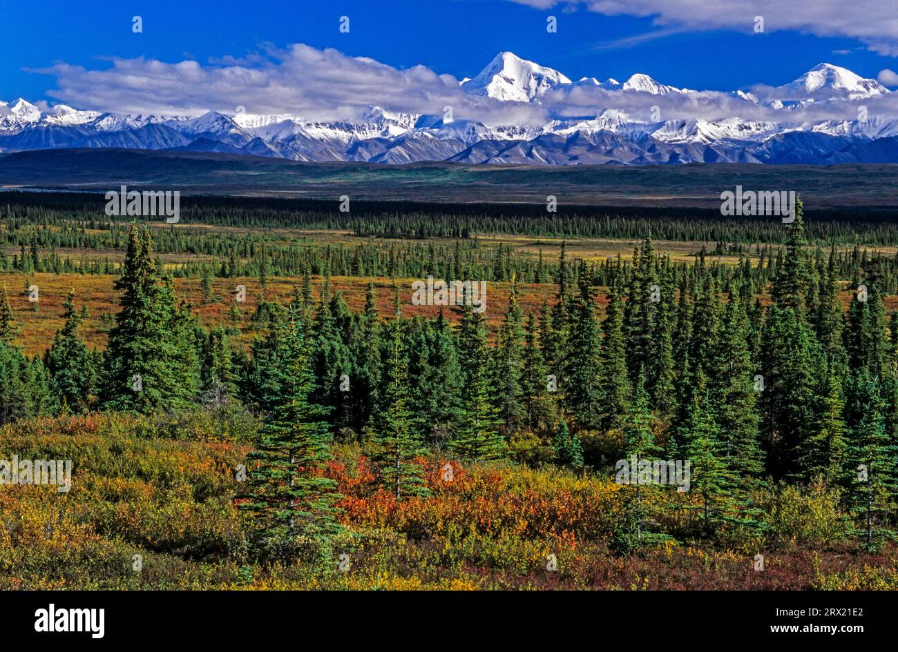 Alaska Range and tundra landscape in Indian summer, Denali National Park, Alaska Stock Photo
