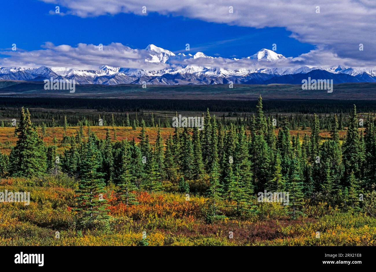 Alaska Range and tundra landscape in Indian summer, Denali National Park, Alaska Stock Photo