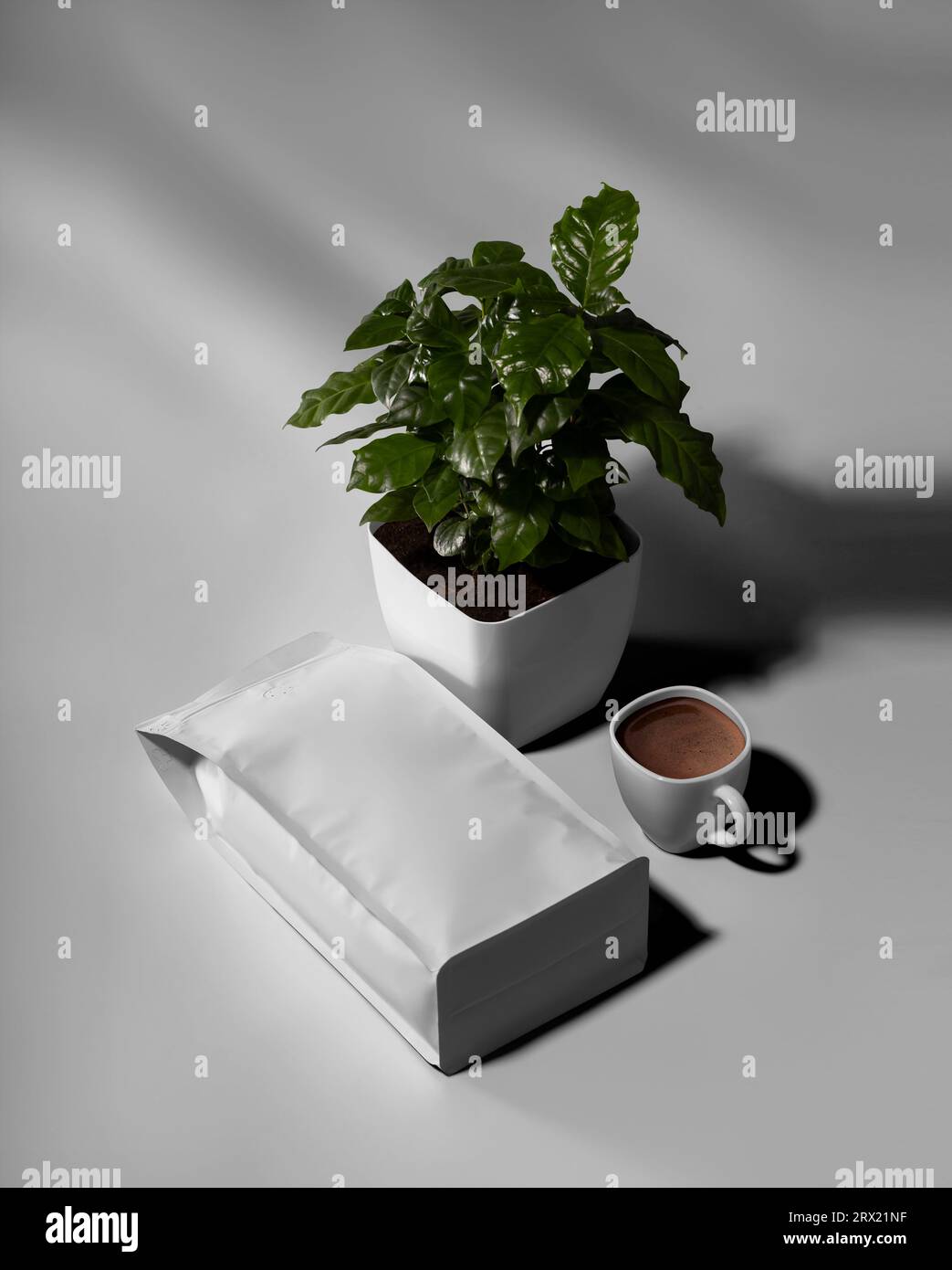 Template of a white pouch with shadows on the background, a cup of brewed coffee, an arabica tree in a pot. Product photography for advertising. Doy p Stock Photo