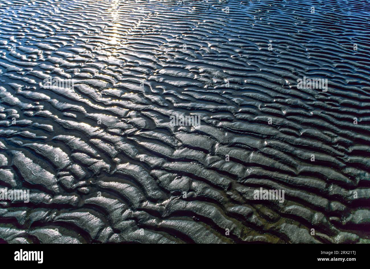 Ripple marks in Wadden Sea, Elbe estuary near Brunsbuettel, Schleswig-Holstein Stock Photo