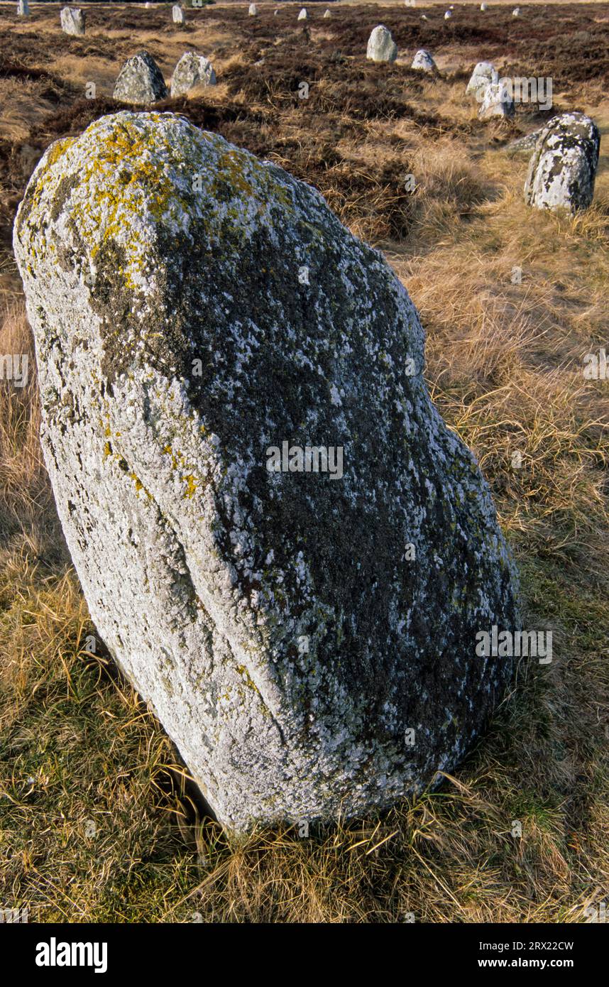 Viking burial ground with the typical stone settings and clear marking