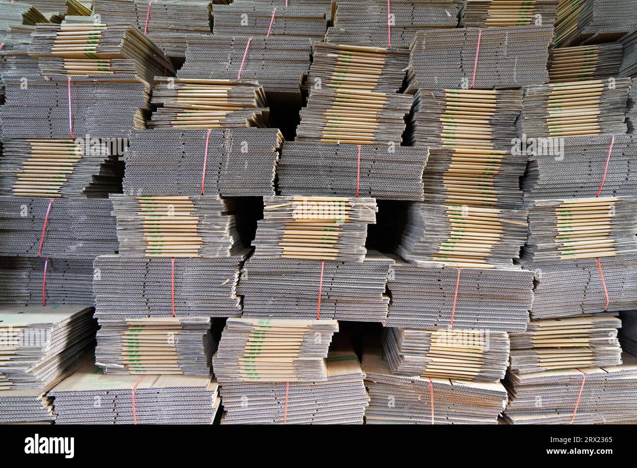 Chinese Paper Stack Stacks of cardboard boxes in a sweet potato packaging base in North ...