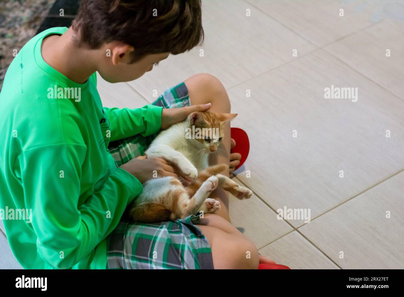 A boy holding his cat affectionately. inseparable companion. Domestic animal. Stock Photo