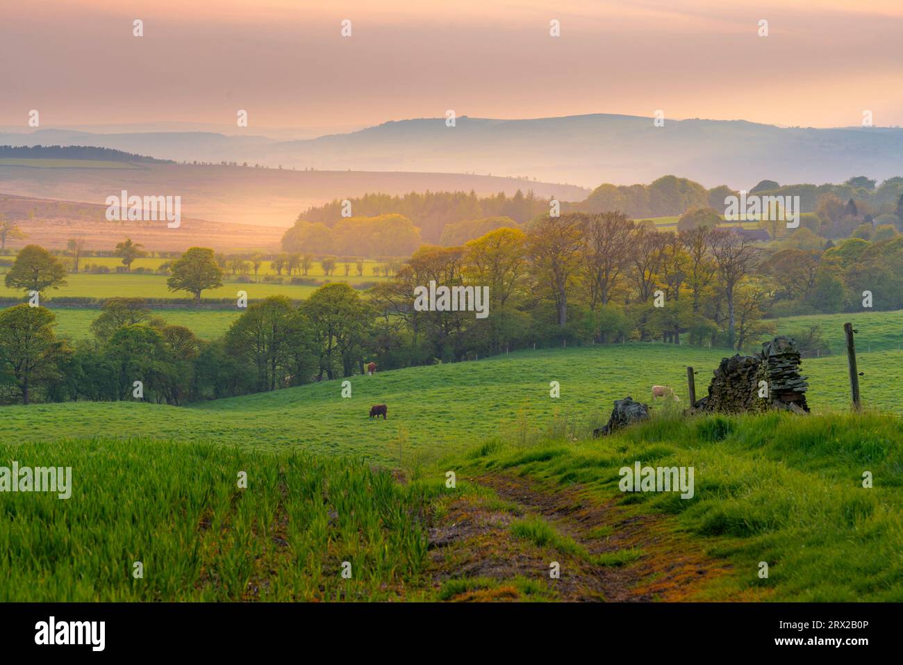 View of sunset from Wadshelf in the Peak District National Park, Derbyshire, England, United Kingdom, Europe Stock Photo