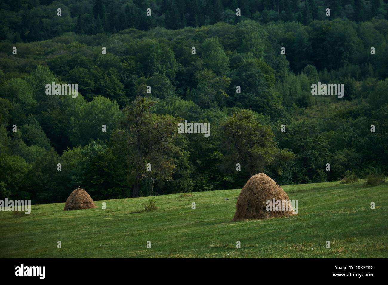 Algeti national park hi-res stock photography and images - Alamy